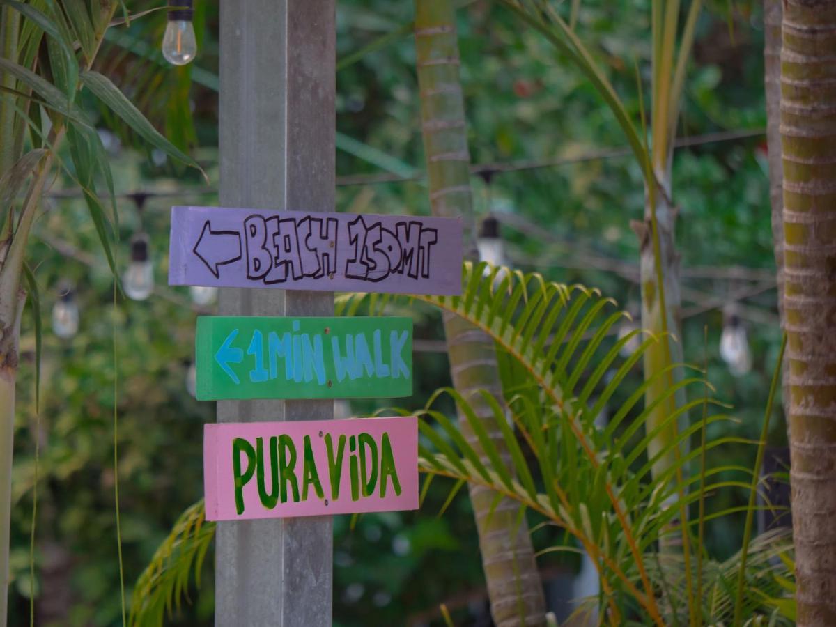 El Reinas By Sugar's Monkey Hotel Playa Grande